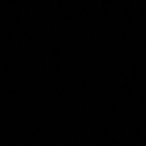 Meet your Posher, Manuel